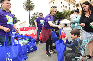 About The Toy Foundation
