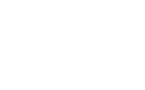 The Toy Foundation